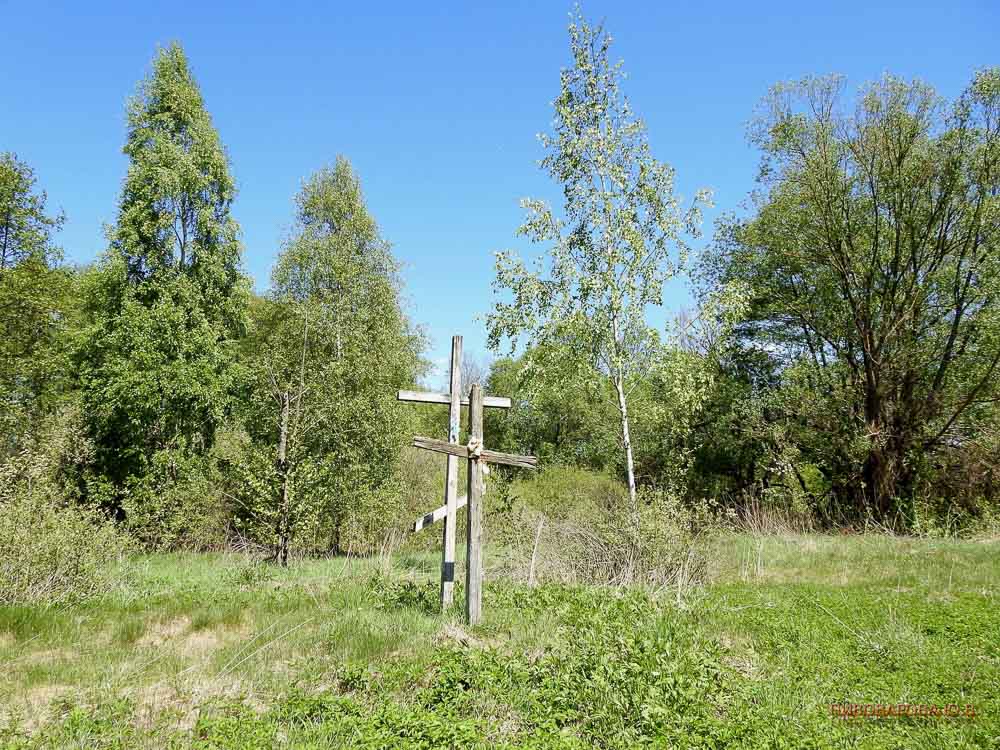 Весна в Залесках. Пивоварова