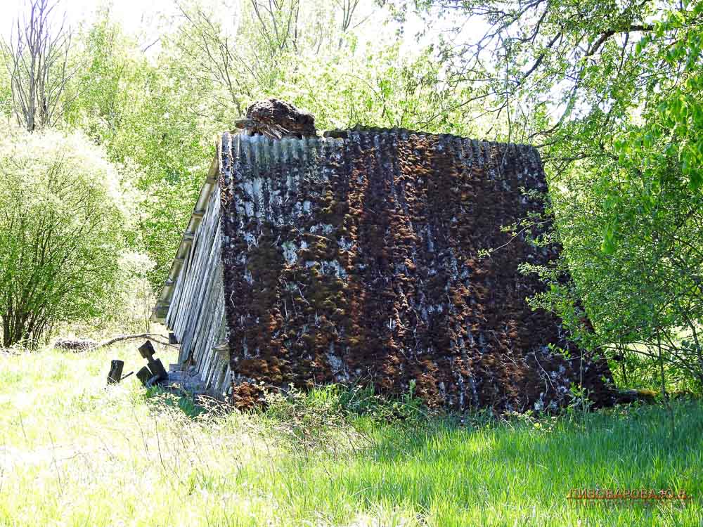 Весна в Залесках. Пивоварова