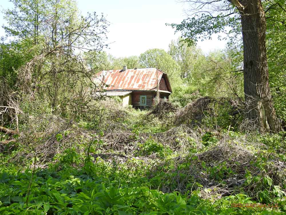 Весна в Залесках. Пивоварова