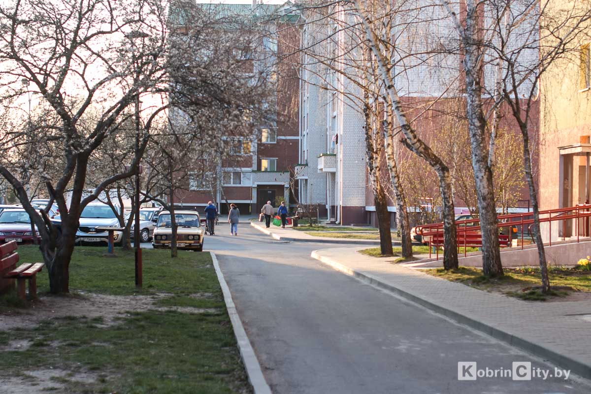 Потерпите до пятницы — обещают до +19°C. Погода в Кобрине с 31 марта по 4 апреля