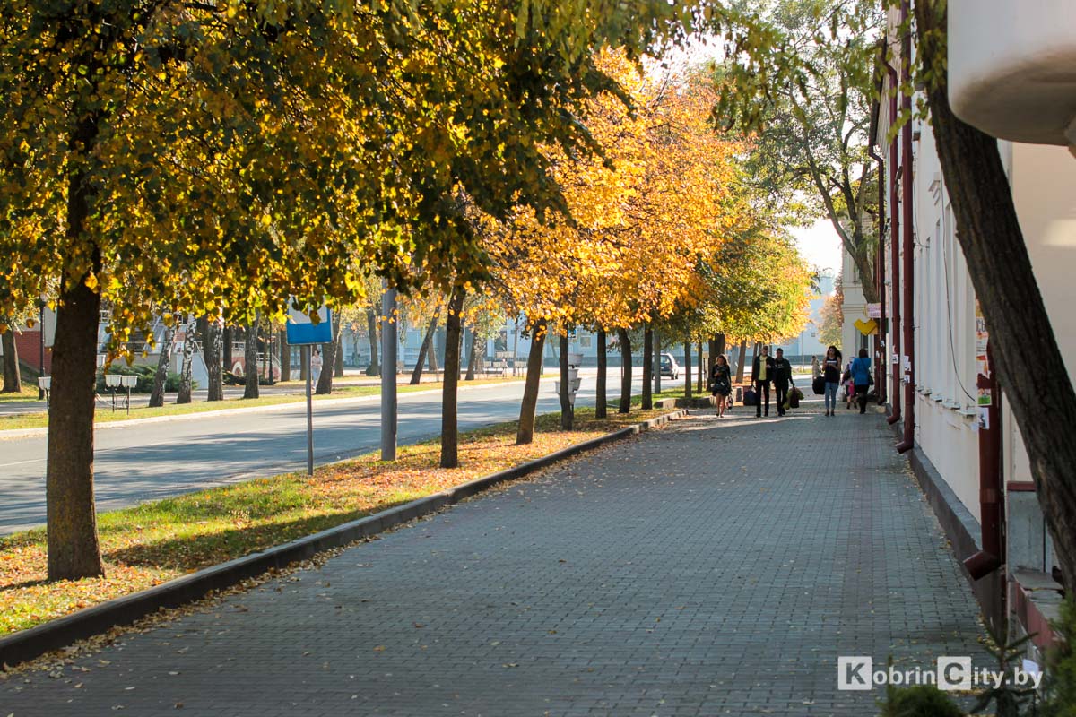 То потеплеет, то похолодает, но дождей будет мало: погода в Кобрине с 30 октября по 3 ноября