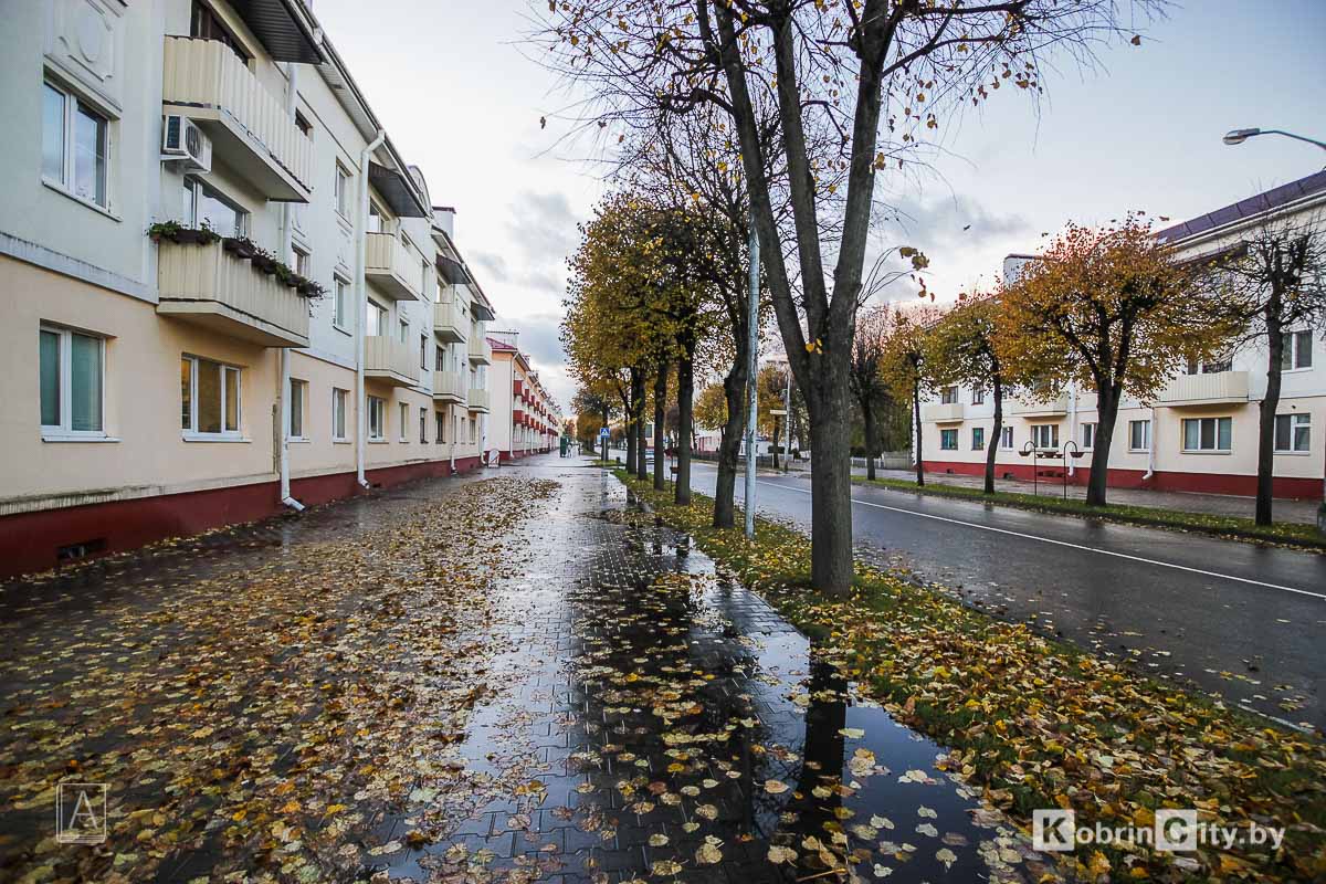 Рост пенсий и пособий, изменения в банках и маршрутках: что ещё ждет белорусов с ноября
