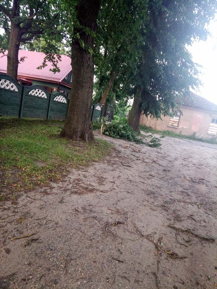 Кобрин. Сильный ветер 1 июля 2019