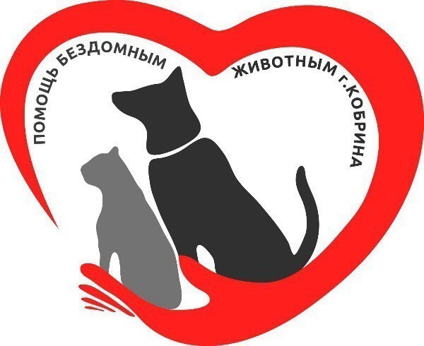 Помощь животным. Кобрин