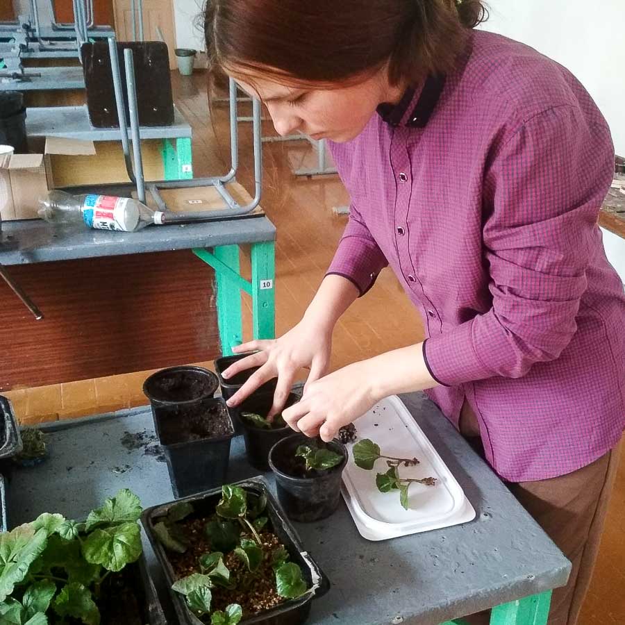 Мартовские хлопоты. Советы для дачников и садоводов Кобрина от профессионала Людмилы Ильясюк