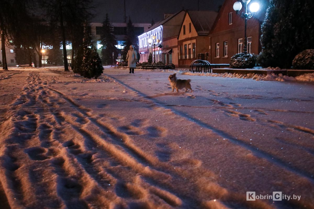 Снегопад в Кобрине. Утром 13 января город занесло снегом