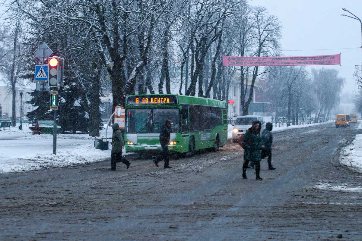 Первый настоящий снег в Кобрине