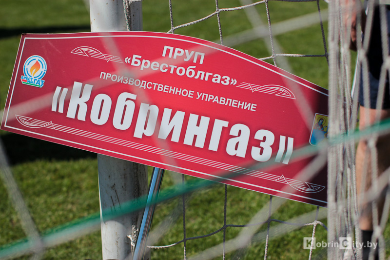 Спартакиада в Кобрине 2017