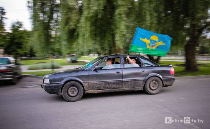 VDV 03