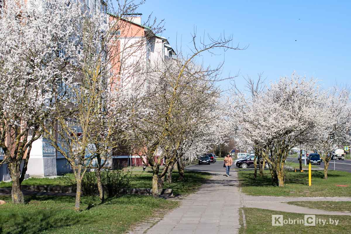 Какие изменения ждут нас в мае: длинные выходные, размеры пенсий и пособий, тарифы и плата за проезд