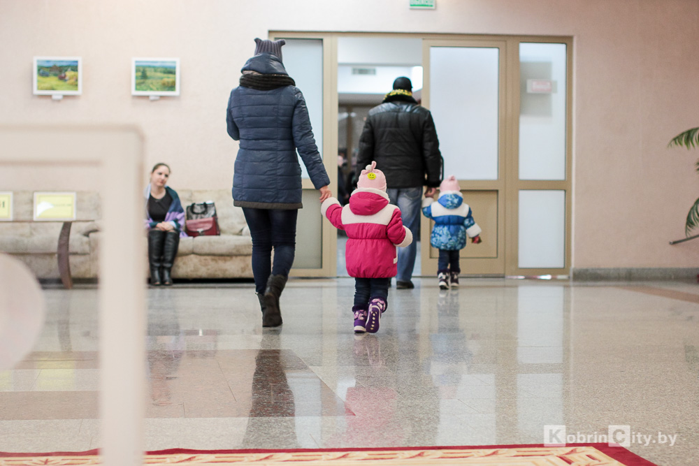 Выборы в местные Советы депутатов в Кобрине 2018
