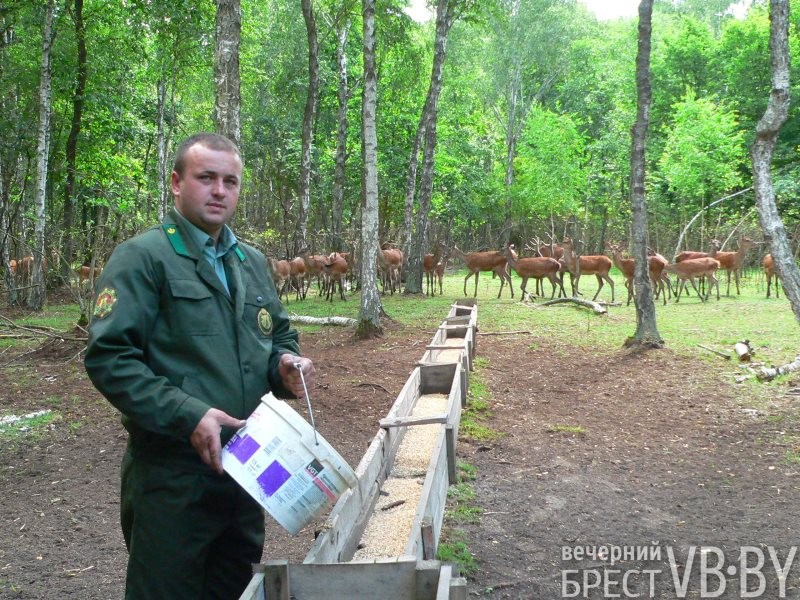 462 3.JPG930930reduce