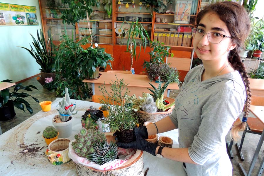 «Колючая экзотика» учащихся Залесской школы в числе победителей республиканского конкурса
