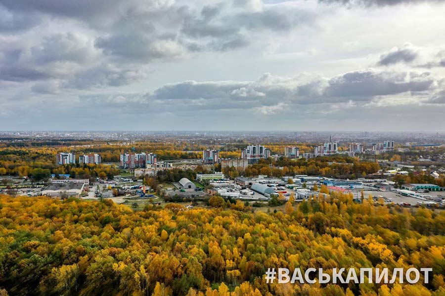Самая золотая пора года в объективе квадрокоптера — #ВаськаПилот «полетал» над окраиной Бреста