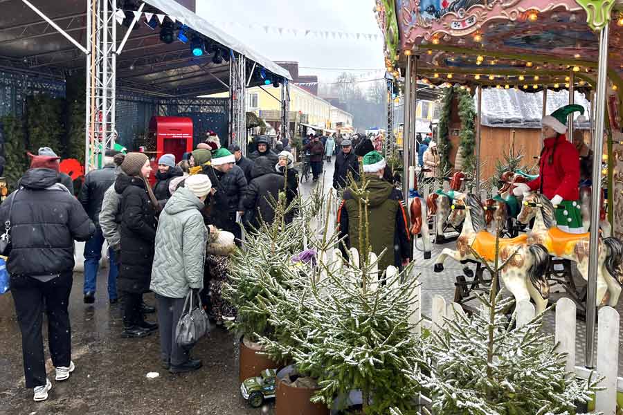 Чем удивляют мастера и подворья на фестивале-ярмарке «Берестейские сани-2025» в Кобрине