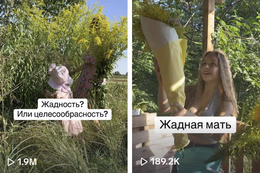 Девушка из Беларуси собрала букет полевых цветов на 1 сентября: видео набрало почти 2 млн просмотров и вызвало бурю в TikTok