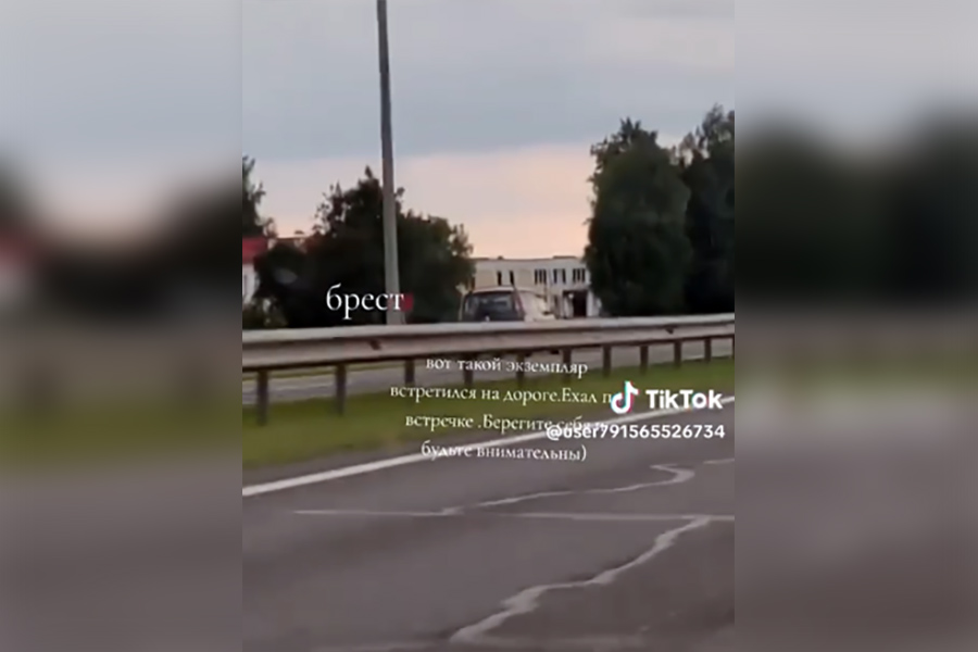 Водитель «Renault» ехал по встречке на трассе М1 – ГАИ нашла нарушителя по видео из интернета