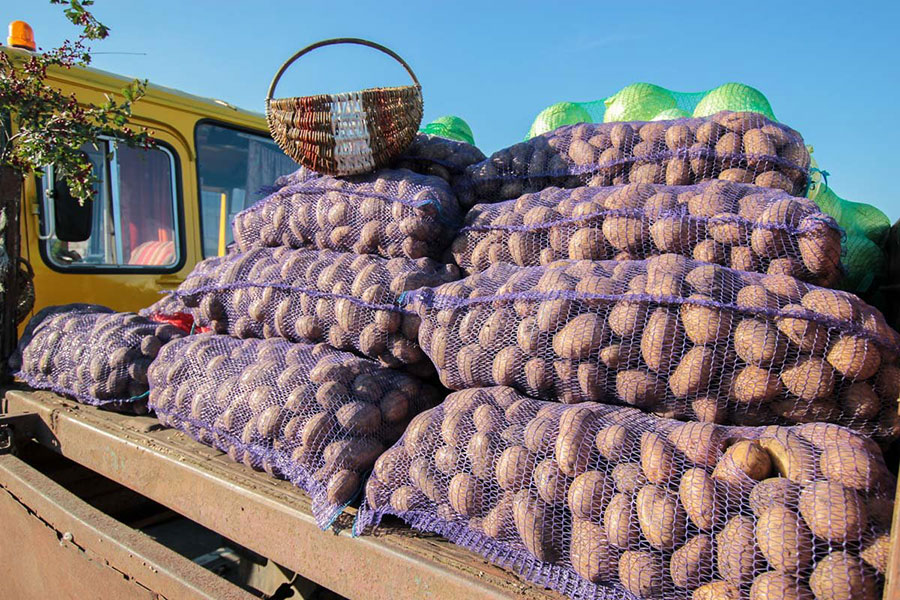 По какой цене государство закупает сельхозпродукцию у населения в октябре 2025 года