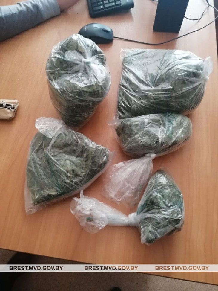 marihuana730