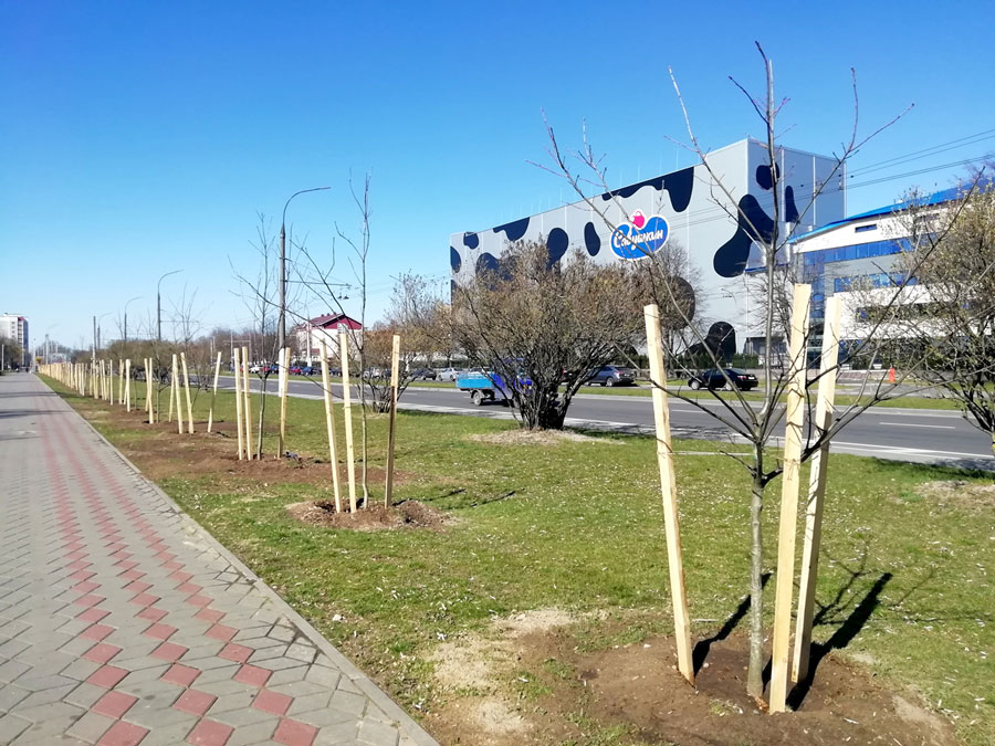 savuhkinpark