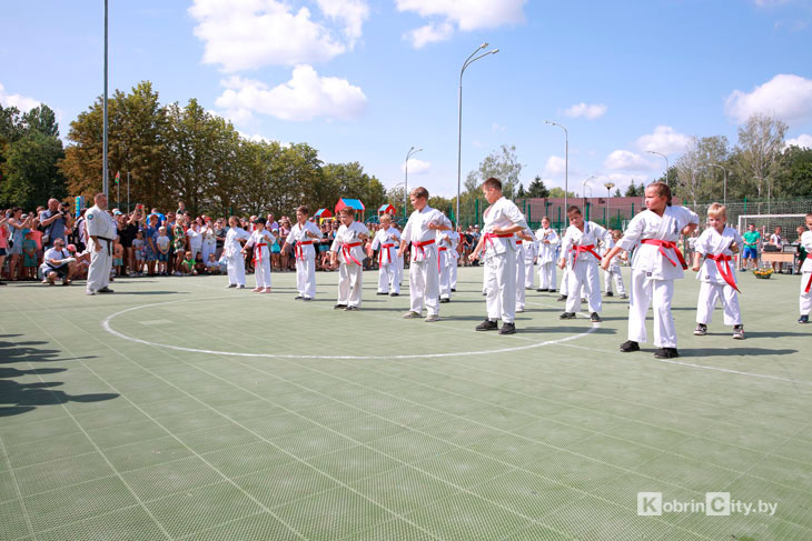 kobrin den vvs 2022 01