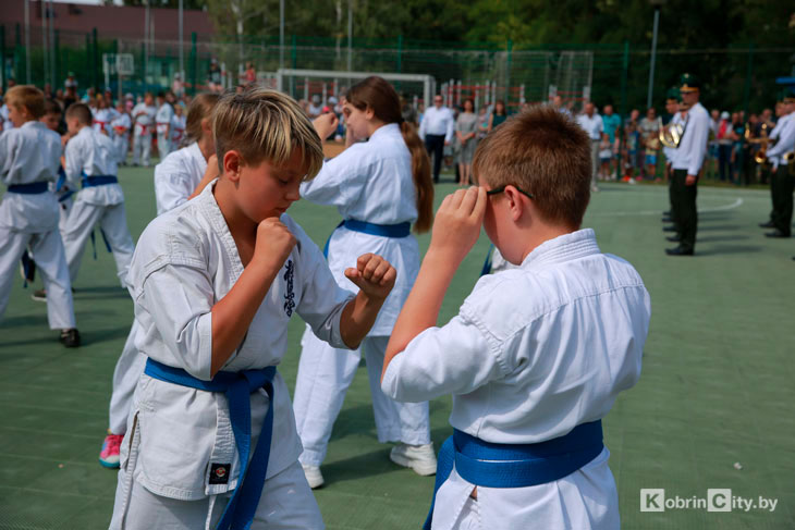 kobrin den vvs 2022 02