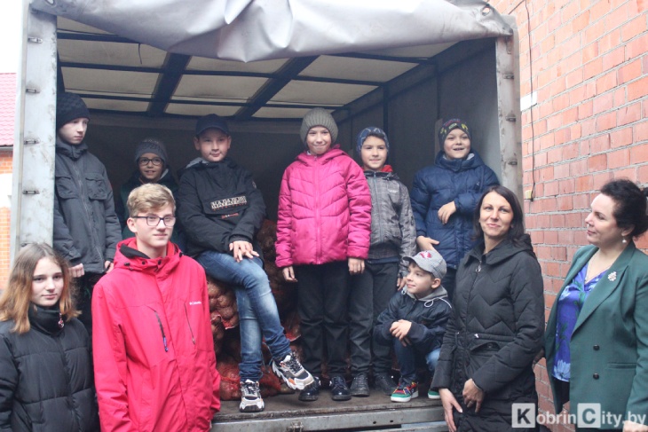 gkh kartofel13