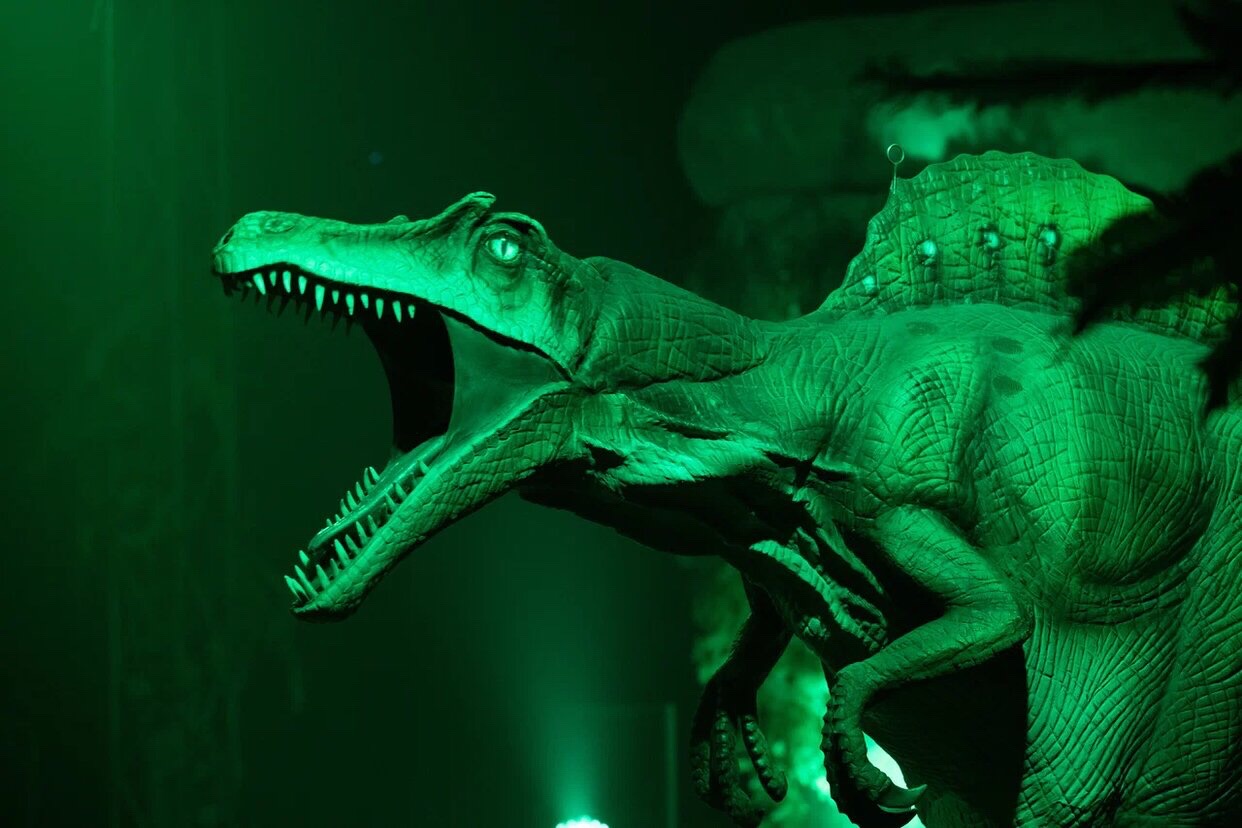 Затерянный мир, тайное место с динозаврами: в Кобрине с 1 октября по 9 октября «Цирк Юрского периода»