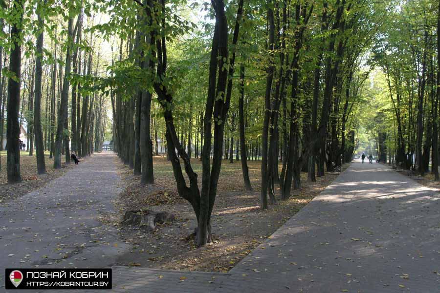 Кобрин до Дожинок-2009 — как выглядели улицы города 15 лет назад