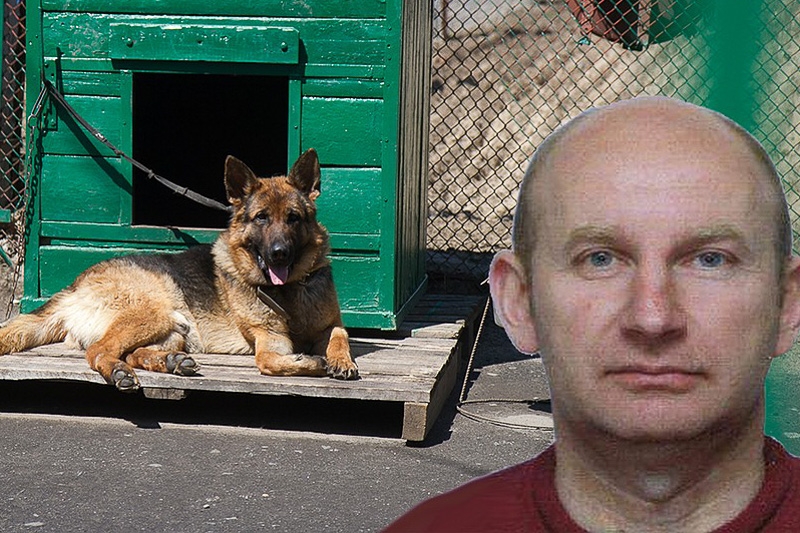 Задержан мошенник, торговавший нечистокровными собаками под видом породистых. Среди пострадавших – кобринчанка