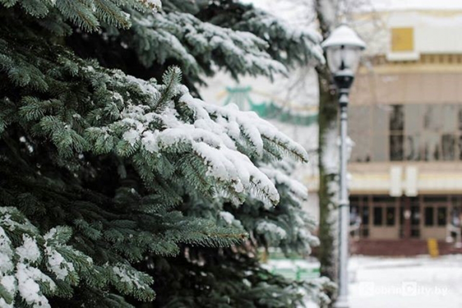 Неужели снег? Прогноз погоды в Кобрине на рабочую неделю с 27 по 31 января