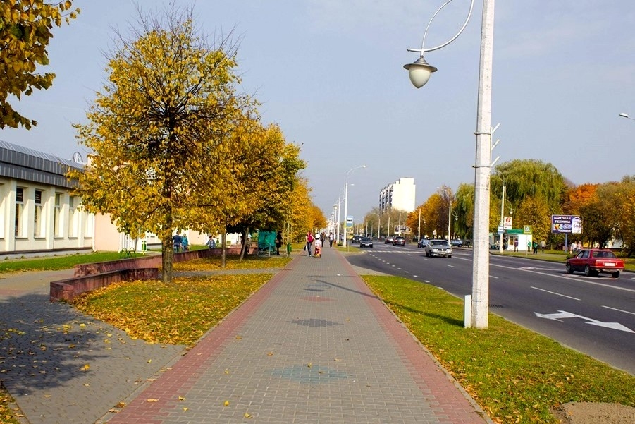 Кобринчане! Есть возможность принести родному городу пользу — 25 октября посадить дерево на улице Дзержинского