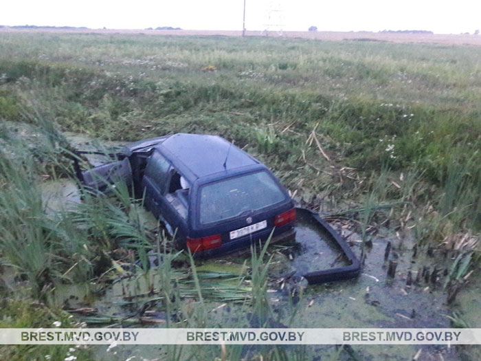 Volkswagen сбил лося на М1: водитель с тяжелыми травмами доставлен в больницу