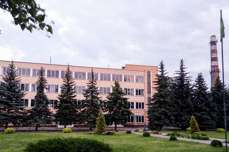 Электронную ярмарку вакансий проведут 26 ноября в Кобрине