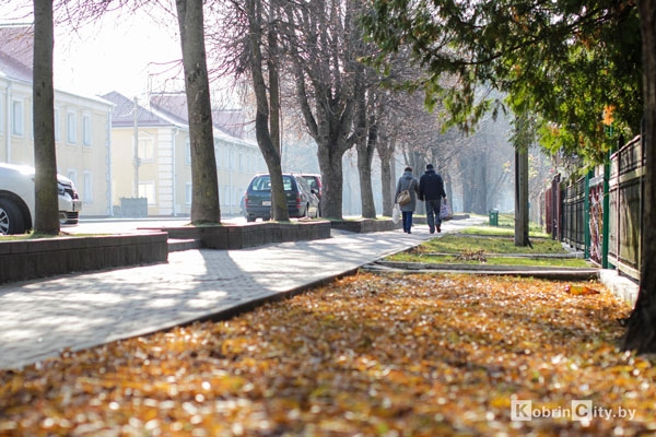 Реальная осень явилась в Кобрин — о погоде с 10 по 15 ноября