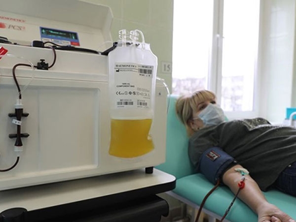 В Бресте начнут заготовку плазмы крови вылечившихся от COVID-19