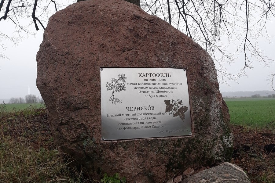 Первый в Беларуси памятник картошке появился на Брестчине (фото)