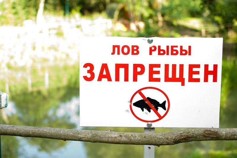 Нерест: весенний запрет на лов рыбы начнется уже 12 марта и продлится по 18 мая