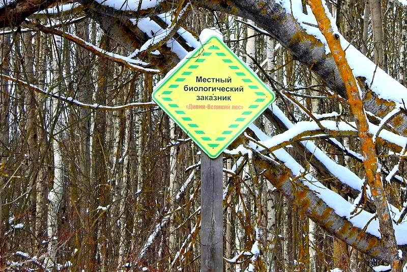 Репер, череп и экскаватор или путешествие кобринского фотолюбителя в заказник 