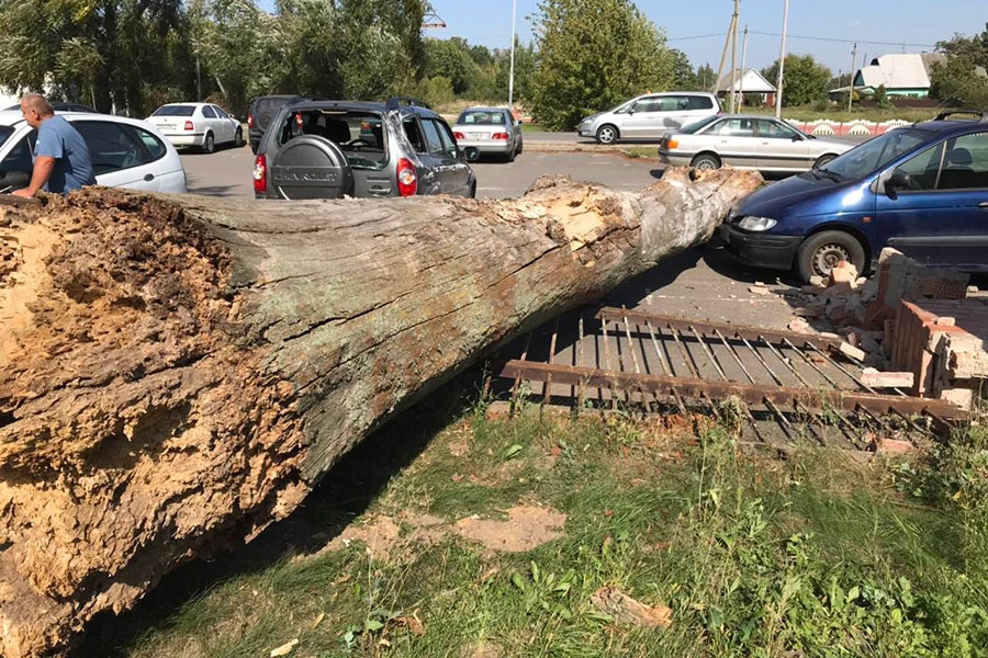В Кобрине железный забор с кирпичными столбами упал на автостоянку: повреждено четыре автомобиля