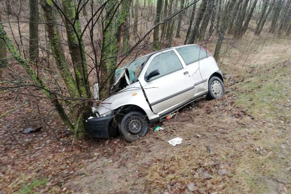 На автодороге «Кобрин-Дивин» водитель Fiat Punto съехала с дороги и врезалась в дерево