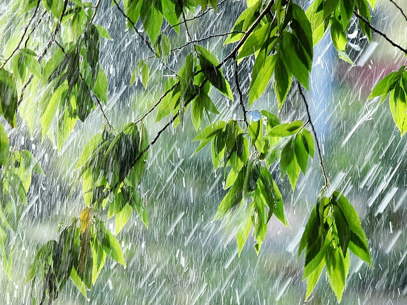 Все о погоде в Кобрине на этой неделе: летние дожди, грозы и до +28°С