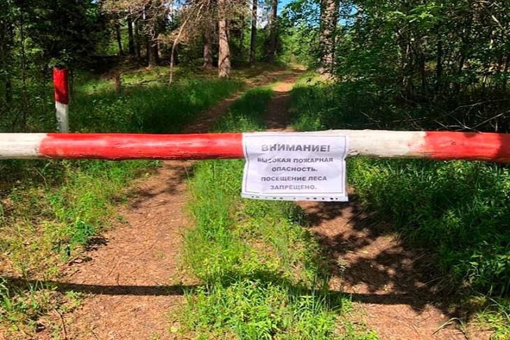 С 12 мая в Кобринском районе запрещено посещение лесов: штраф до 30 базовых