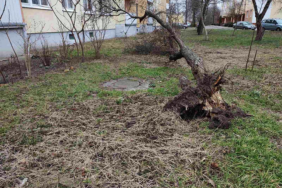 Последствия стихии в Кобринском районе: частично или полностью были обесточены более 20-ти населенных пунктов