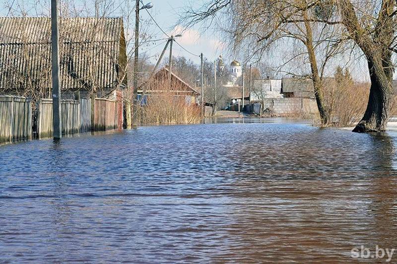 В Брестской области паводками затопило 25 жилых домов — рекомендации жителям потенциально подтапливаемых участков
