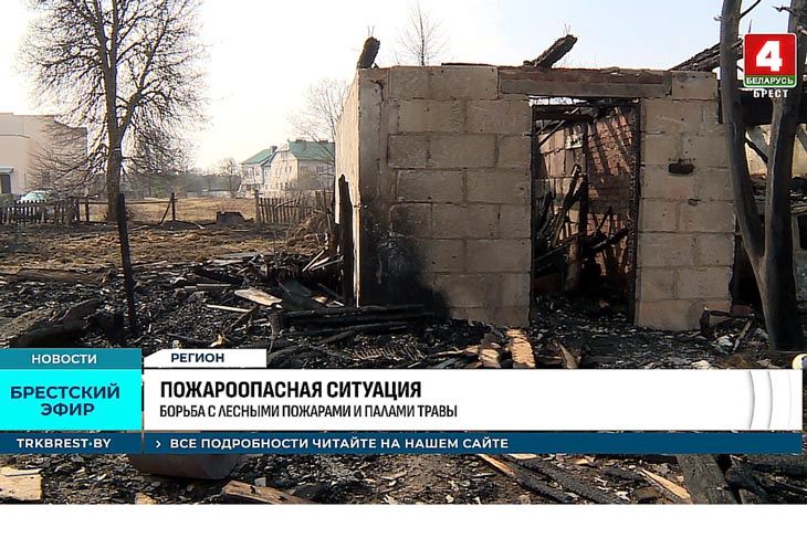 Такого ещё не было: в Брестской области 552 пожара из-за палов травы, сгорело 20 строений, два человека погибли