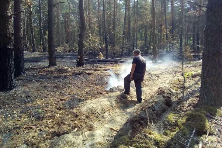 С 21 июля в Кобринском районе действует ограничение на посещение лесов
