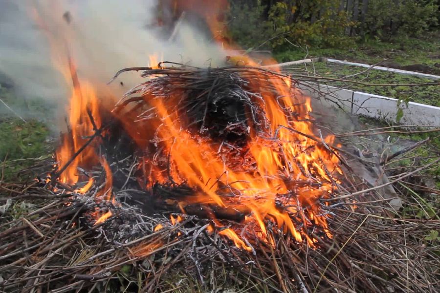 202 пожара в Кобринском районе за 2022 год — спасатели о сжигании сухой растительности