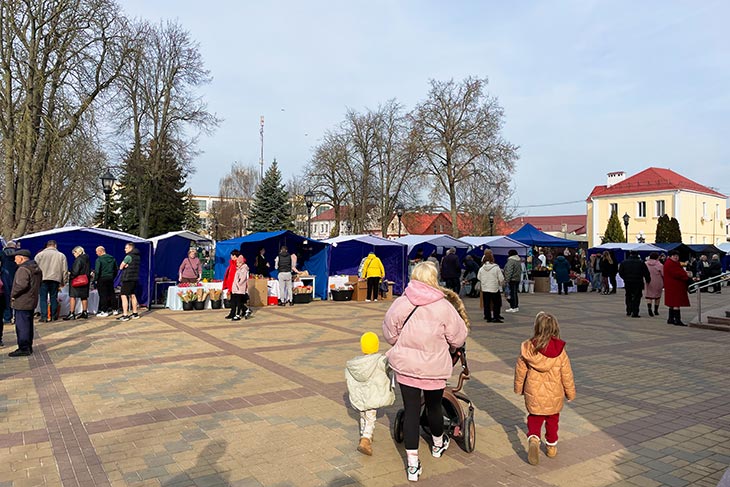 Где и когда в Кобрине пройдут цветочные ярмарки в преддверии 8 марта — адреса и время работы
