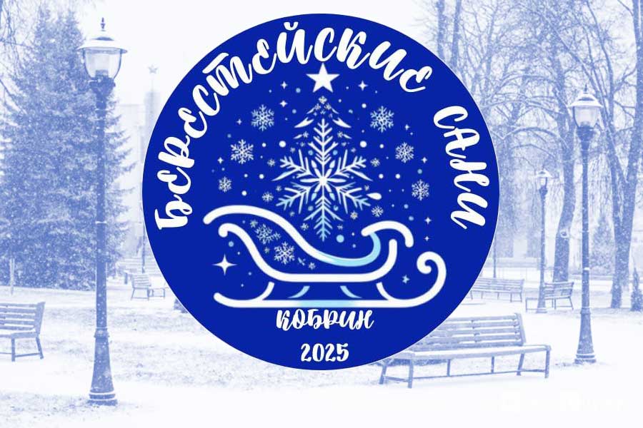 Как планируют проводить в Кобрине фестиваль «Берестейские сани» — детали 